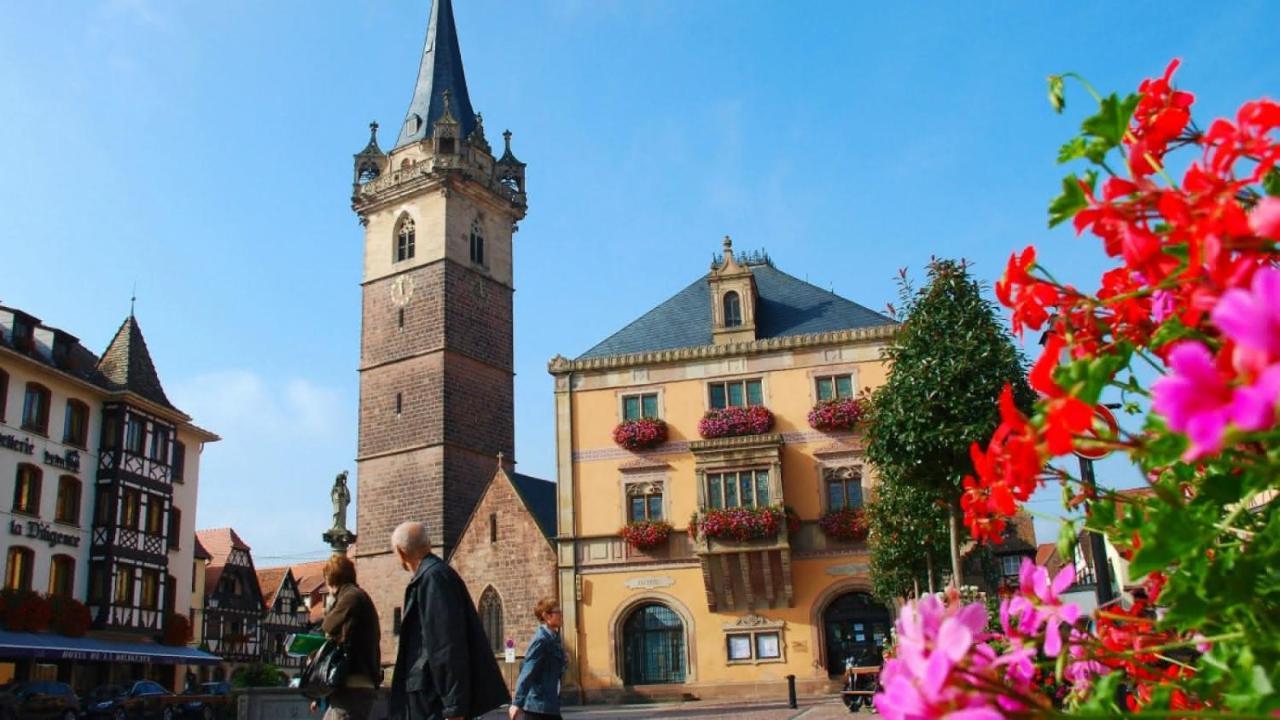 Gite Terre D'Helene 4 A 5 Pers Proche Strasbourg 42 M2, 3 Etoiles, Wifi, Paisible, Jardin, Proche Commerces,16 Atouts, Animaux Acceptes Berstett Exterior foto