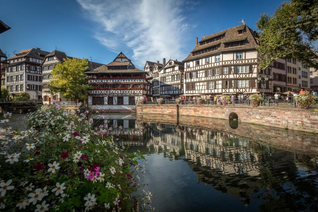 Gite Terre D'Helene 4 A 5 Pers Proche Strasbourg 42 M2, 3 Etoiles, Wifi, Paisible, Jardin, Proche Commerces,16 Atouts, Animaux Acceptes Berstett Exterior foto